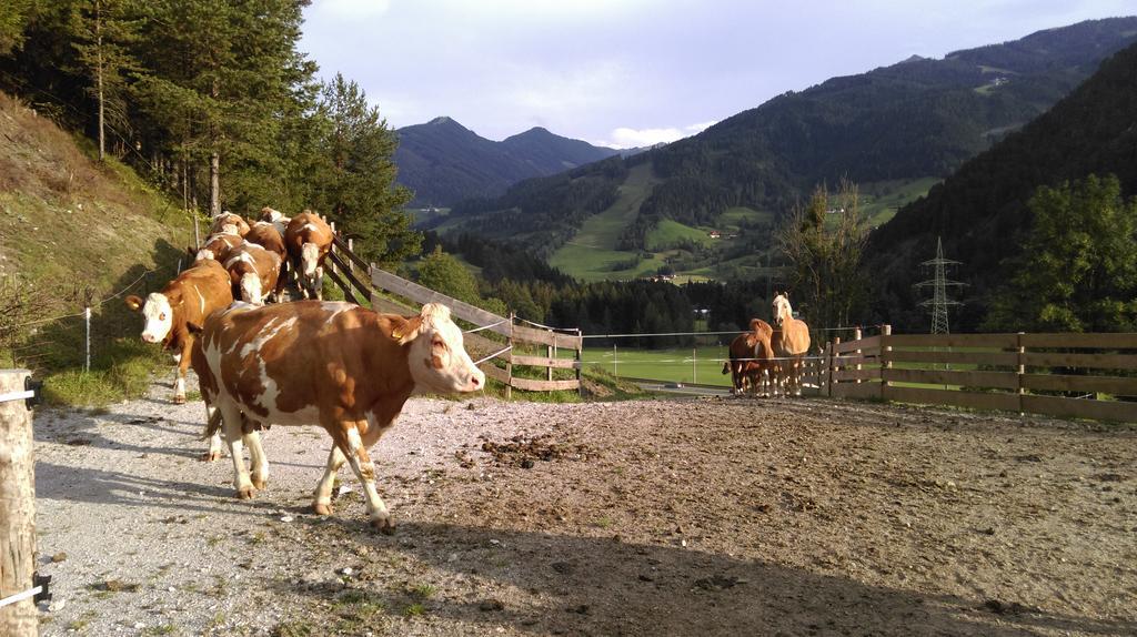 Saumerhof Schladming Exterior photo